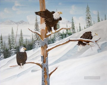  eagle Painting - eagles in winter birds